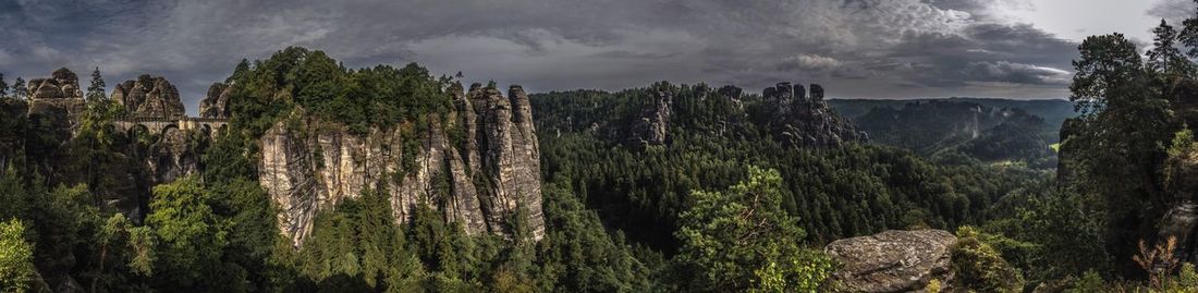 Scenic view of forest against sky