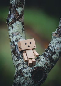 Close-up of toy on tree trunk