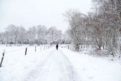 Snow covered road and white snow amidst trees against sky while walking towards the trees 