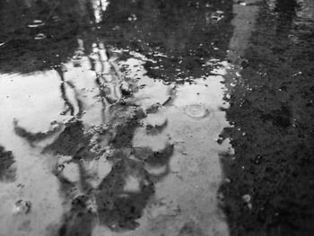 Reflection of trees in puddle