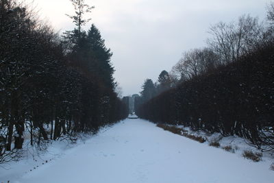 Snow covered trees against sky