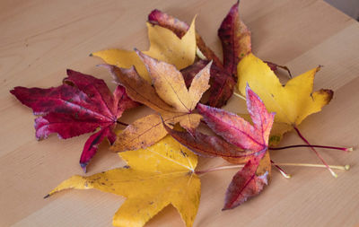 High angle view of maple leaves on table