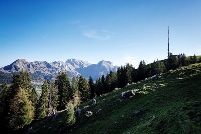 Scenic view of mountains against blue sky