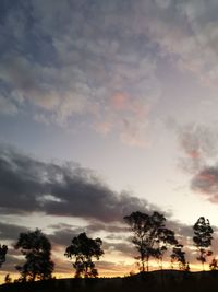 Low angle view of silhouette trees against sky during sunset