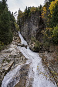 Scenic view of waterfall in forest