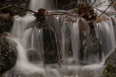 Waterfall in forest