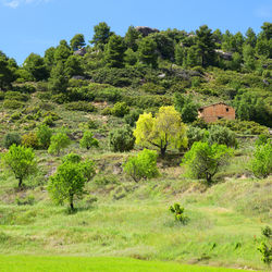 Lovely colorful summer landscape in matarraña region in spain