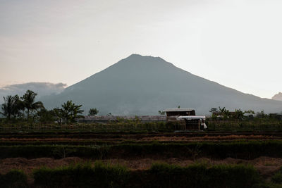 mountain