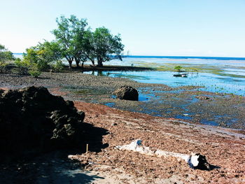 Scenic view of sea against clear sky