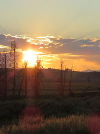 Scenic view of field against sky during sunset