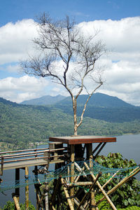 Bare tree on landscape against sky