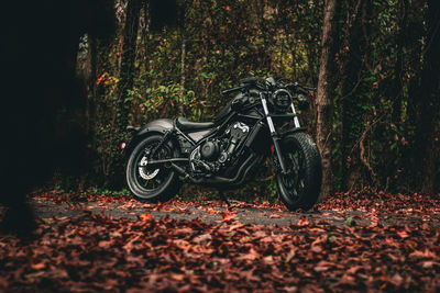 Close-up of motorcycle on field