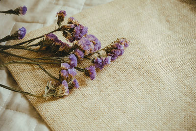 Close-up of purple flowers on fabric