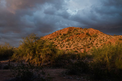 Scenic view of land against sky