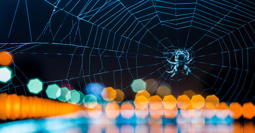 Spider web and spotted light