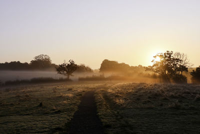 Trees on field against sky during foggy morning weather