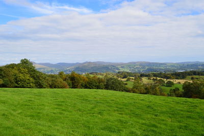 Scenic view of grassy field against cloudy sky