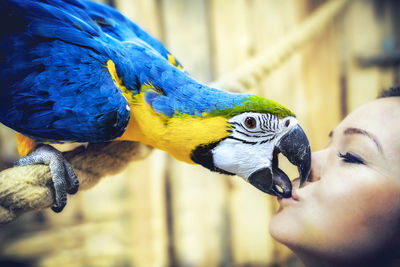 Close-up of woman kissing bird