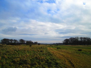 Scenic view of field against sky