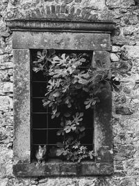 Close-up of weathered wall of old building