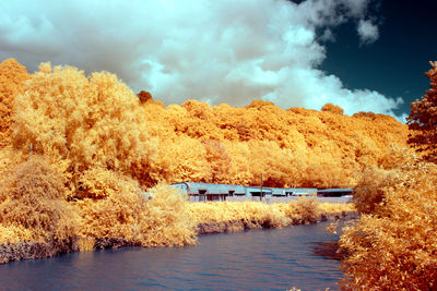 Scenic view of lake by trees against sky