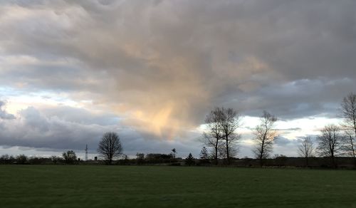 Trees on field against cloudy sky