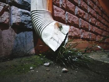 Low section of shoes on stone wall