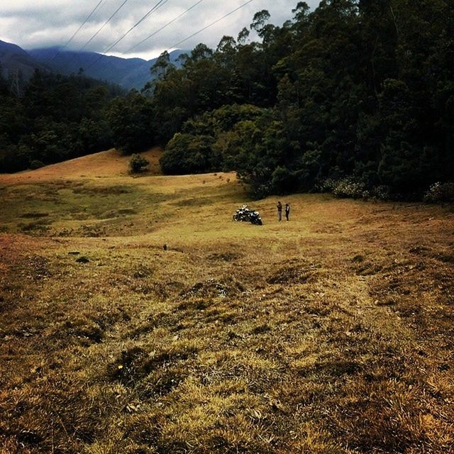 landscape, mountain, tranquil scene, tranquility, tree, scenics, field, sky, domestic animals, nature, beauty in nature, rural scene, animal themes, non-urban scene, hill, mountain range, mammal, grass, growth, remote