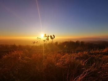 Scenic view of sunset over land