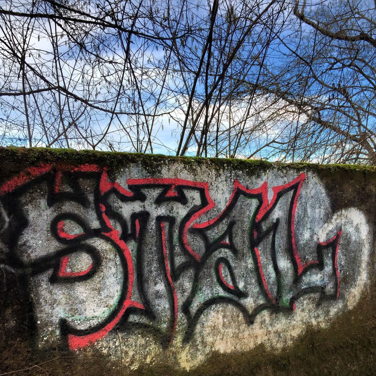 text, graffiti, western script, art and craft, tree, creativity, art, bare tree, communication, wall - building feature, sky, day, capital letter, outdoors, no people, clear sky, built structure, architecture, building exterior, close-up