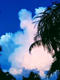 Low angle view of silhouette palm trees against blue sky