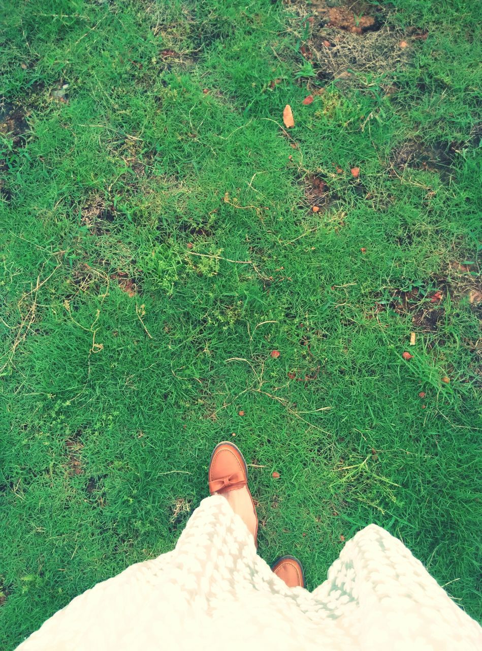 personal perspective, grass, low section, person, green color, lifestyles, field, grassy, unrecognizable person, leisure activity, part of, high angle view, human foot, shoe, men