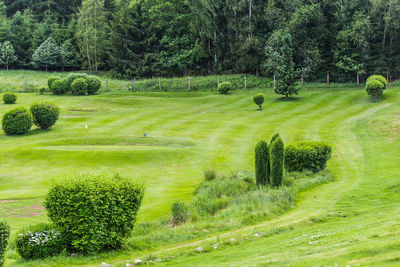 Scenic view of golf course