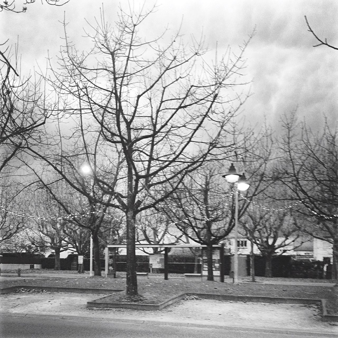 bare tree, tree, street light, branch, sky, lighting equipment, built structure, building exterior, architecture, low angle view, nature, dusk, outdoors, lamp post, city, tranquility, tree trunk, street, no people, illuminated