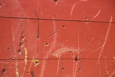 Full frame shot of red leaf
