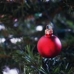 Close-up of bauble on christmas tree
