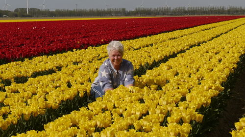 Portrait of smiling woman crouching amid yellow tulips