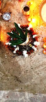 High angle view of orange flower