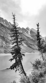 Scenic view of tree mountains against sky
