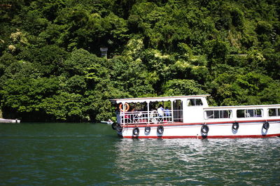 Boat sailing on river amidst trees in forest