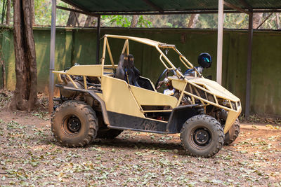 A yellow buggy is parked.