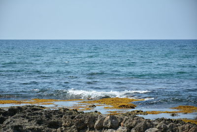 Scenic view of sea against clear sky