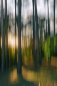 Full frame shot of glass window in forest