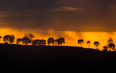 Silhouette trees on landscape against orange sky