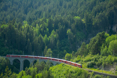 Bridge over mountains