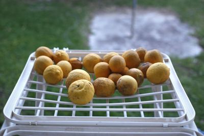 Close-up of lemons on plastic grid against field