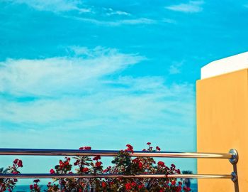 Cloudy sky over flowers by railing on sunny day