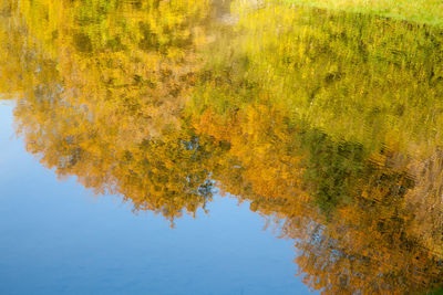 Autumn tree by lake against sky