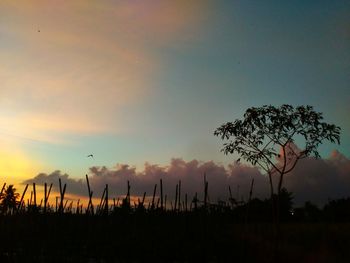 Silhouette trees on landscape against sky at sunset