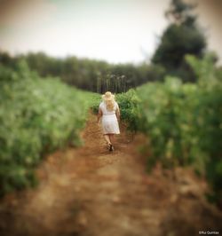 Rear view of woman walking on field